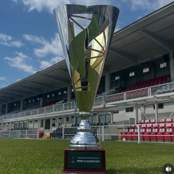 Wine Football Cup: sabato allo stadio Moccagatta la finale tra le scuole Volta e Montalcini