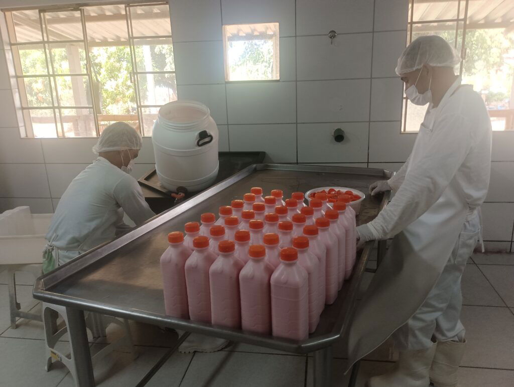 Yogurt don Orione Brasile