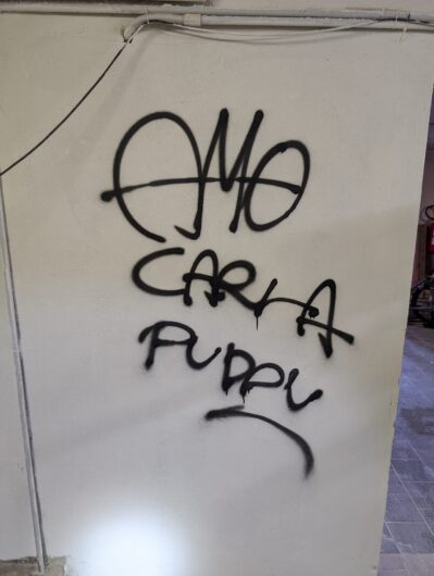 Vandali nel Teatro Civico di Tortona. Imbrattati atrio e i locali di servizio