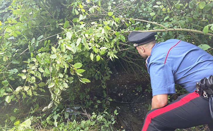 Rubano 20 e-bike del valore di 100mila euro. I Carabinieri le ritrovano poco dopo in un canale