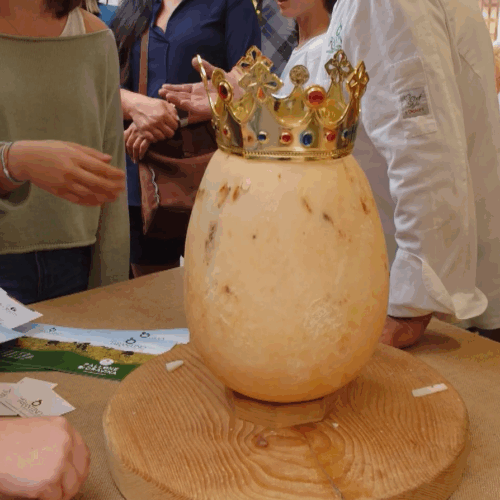 Torna a Bra Cheese: in scena i migliori formaggi