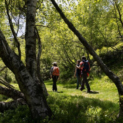 A Trivero “Il Cammino di Ermenegildo”, un trekking ad anello nel cuore dell’Oasi Zegna