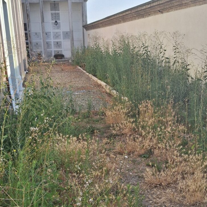 Cimiteri Alessandria, venerdì via agli sfalci: il calendario degli interventi, tra città e sobborghi