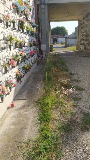 Cimiteri Alessandria, venerdì via agli sfalci: il calendario degli interventi, tra città e sobborghi