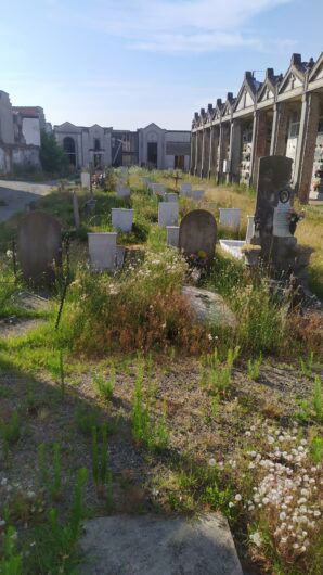Cimiteri Alessandria, venerdì via agli sfalci: il calendario degli interventi, tra città e sobborghi