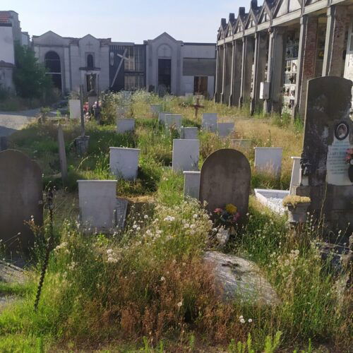 Diserbo chimico anti erbacce nei cimiteri di Alessandria: sì della giunta. Ora la parola al consiglio comunale