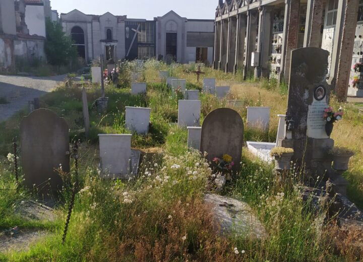 Diserbo chimico anti erbacce nei cimiteri di Alessandria: sì della giunta. Ora la parola al consiglio comunale