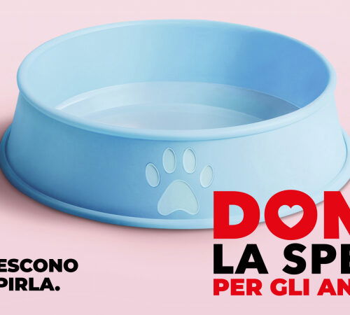 “Dona la Spesa per gli Amici Animali”: sabato la raccolta solidale nei punti vendita Nova Coop