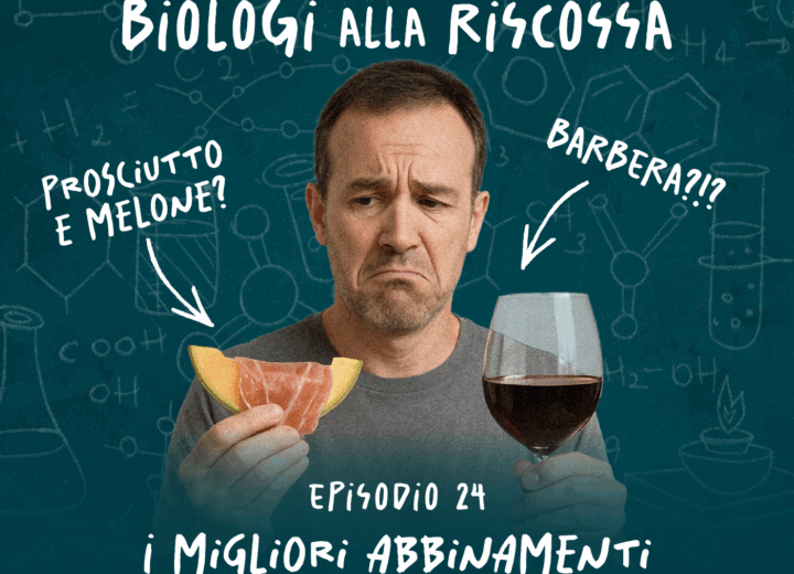Cosa succede quando abbiniamo certi piatti a certi vini? la guida per sopravvivere all’estate con gusto!