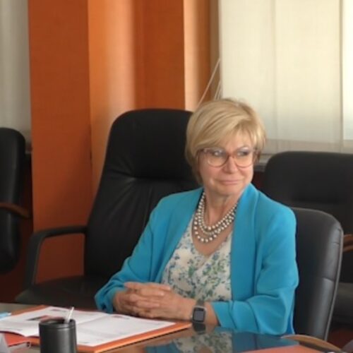 A un anno dalla nomina si dimette la presidente di Amag Lorenza Franzino