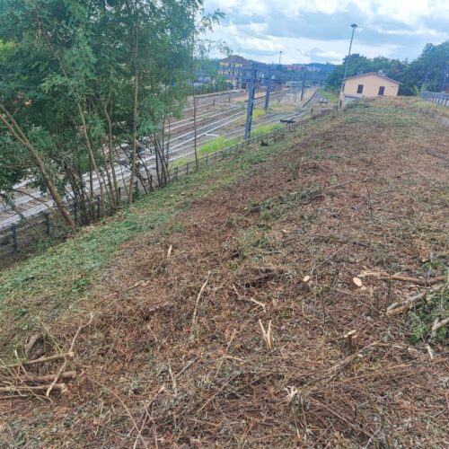 67 nuovi posti auto al Coinor di Valenza: da giovedì 31 luglio via ai lavori