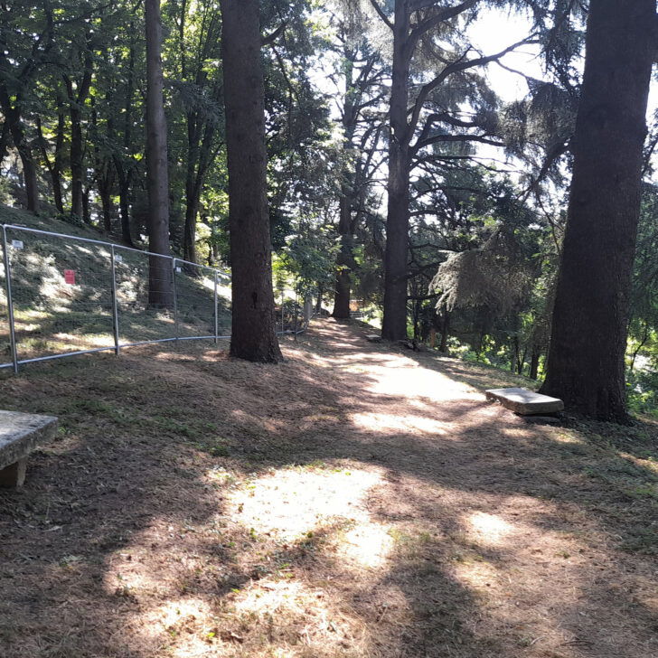 Riapre una parte del Parco Castello a Novi: da questo sabato di nuovo accessibili 12.000 mq