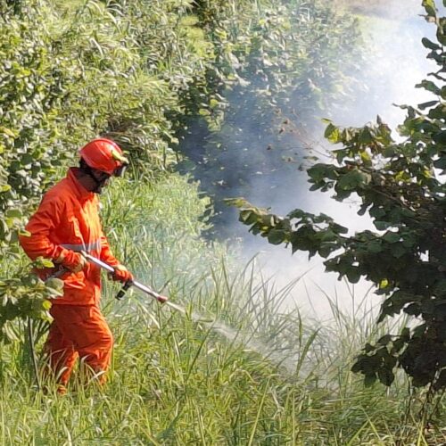 A fuoco sterpaglie a Mombello Monferrato