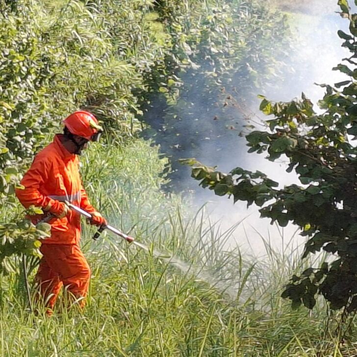 A fuoco sterpaglie a Mombello Monferrato