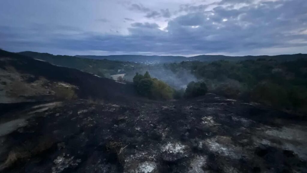 Incendio bosco Pareto