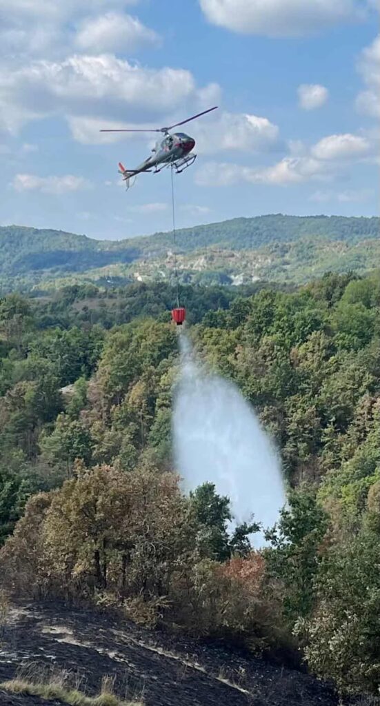 Incendio bosco Pareto