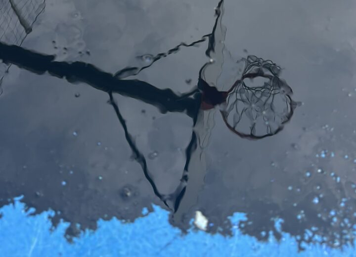 Olio esausto sul campetto da basket di Novi. L’assessore: “Sconfitta per tutti noi”