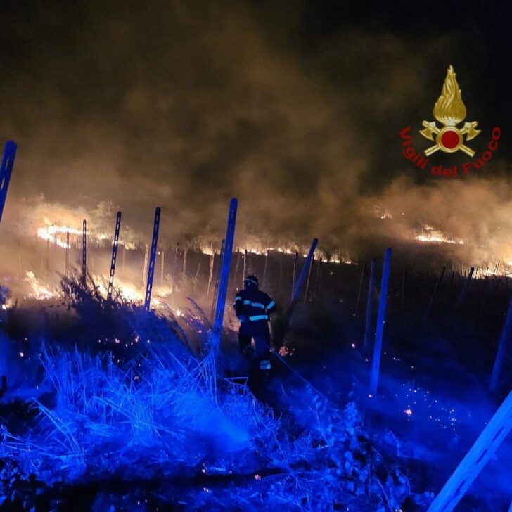 Incendio a Corvino San Quirico: a fuoco vigna e parte di bosco