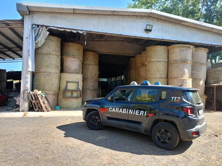 Caricato da un bovino nell’allevamento: grave imprenditore agricolo a Vignale