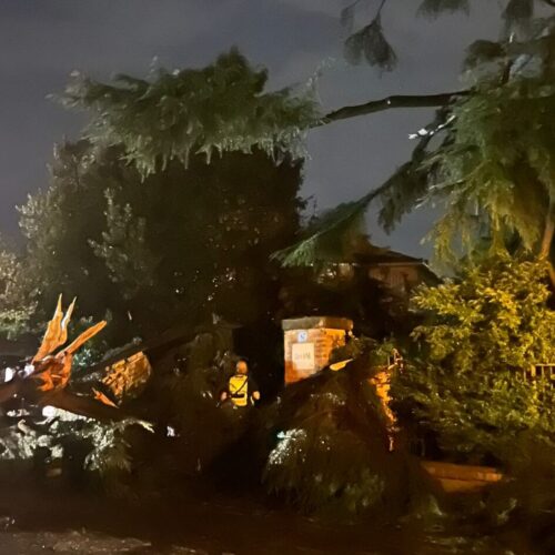 Albero secolare abbattuto da un fulmine a Novi Ligure: danneggiato un palo della luce