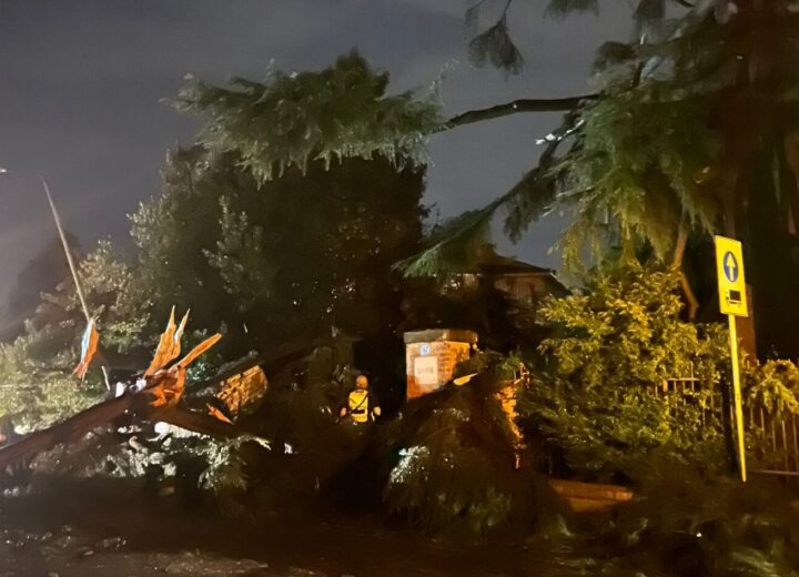Albero secolare abbattuto da un fulmine a Novi Ligure: danneggiato un palo della luce