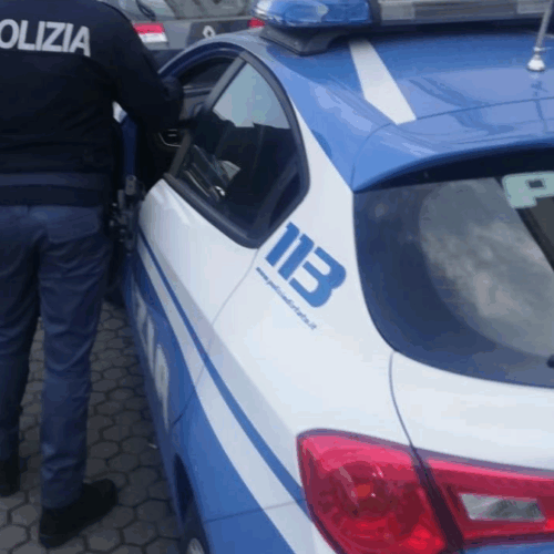Ripetuti furti a Vigevano: individuati e arrestati dalla Polizia i due autori