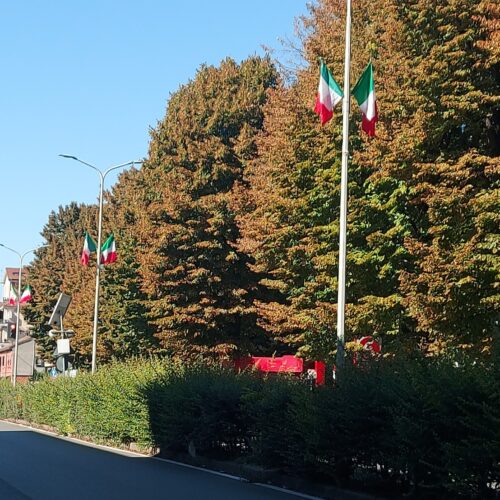 Verso il raduno di raggruppamento degli Alpini: ad Alessandria tante bandiere tricolori