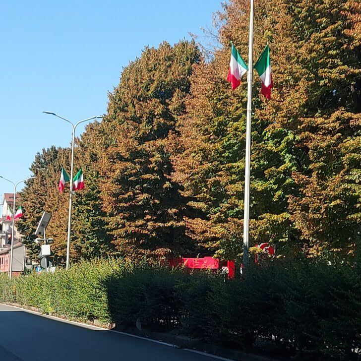 Verso il raduno di raggruppamento degli Alpini: ad Alessandria tante bandiere tricolori