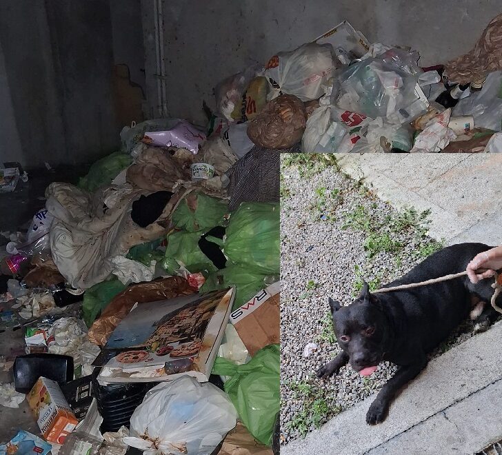 Un uomo e il suo cane trovati tra rifiuti e sporcizia: l’intervento di Oipa Alessandria