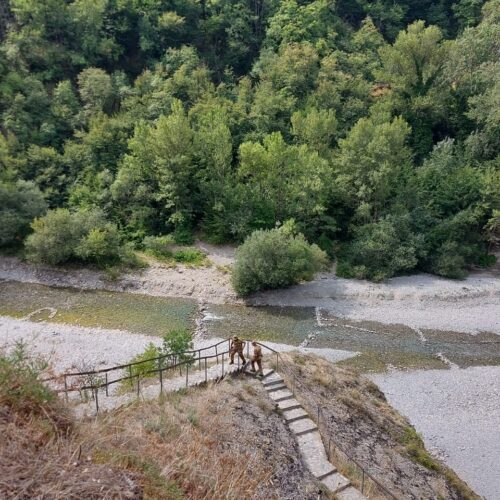Rimosso l’ordigno bellico trovato a Borghetto di Borbera. Revocata l’ordinanza di chiusura del tratto del torrente