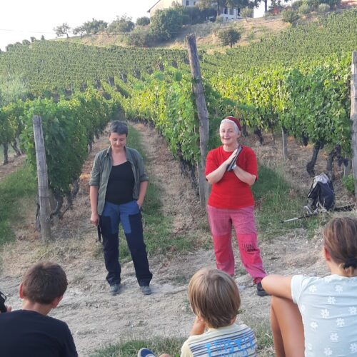 Narrare il selvatico nel bosco e tra le vigne. Recensione di “Di lupi ti scrivo” a Paesaggi e Oltre