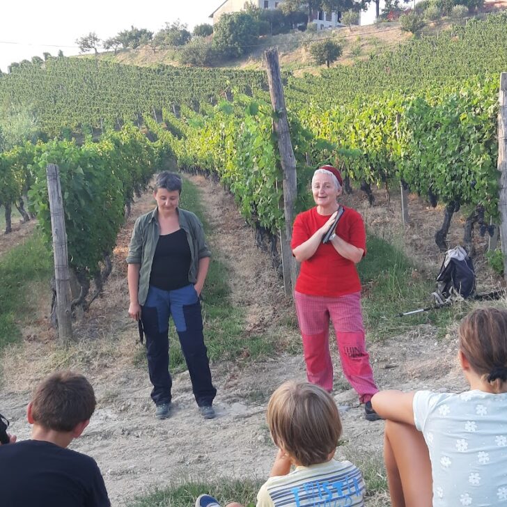 Narrare il selvatico nel bosco e tra le vigne. Recensione di “Di lupi ti scrivo” a Paesaggi e Oltre