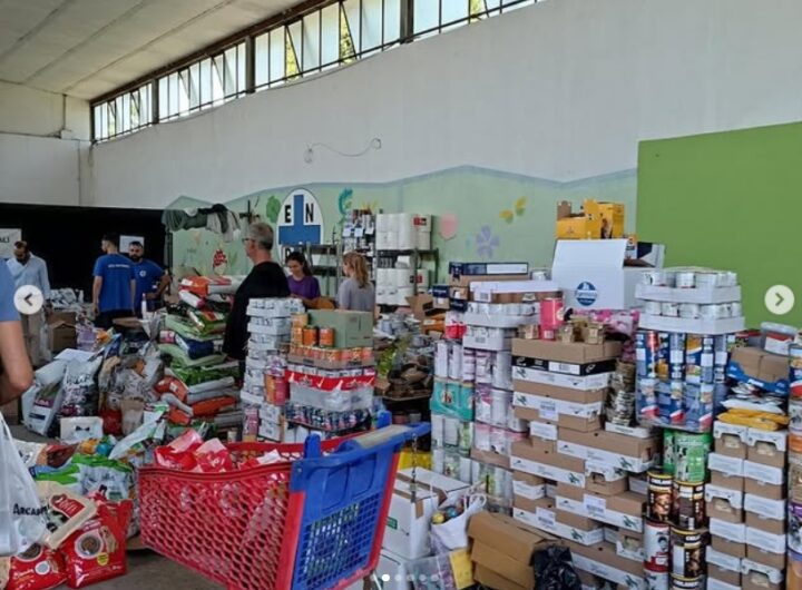 Dopo l’incendio, gara di solidarietà per il rifugio Enpa ma “ancora tanto da fare per gli animali”