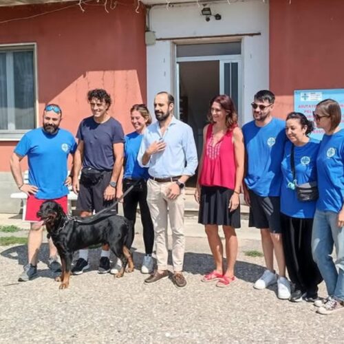Dopo l’incendio, gara di solidarietà per il rifugio Enpa ma “ancora tanto da fare per gli animali”