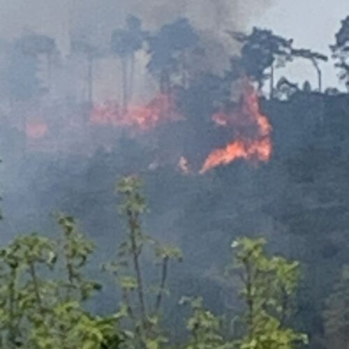 Vasto incendio boschivo tra Belforte e Rossiglione: tre feriti, un uomo in gravi condizioni