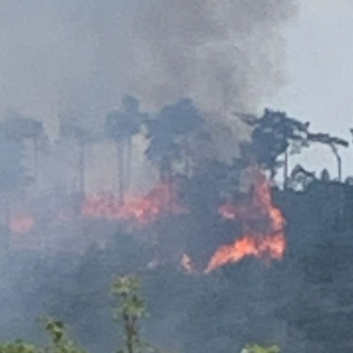 Vasto incendio boschivo tra Belforte e Rossiglione: tre feriti, un uomo in gravi condizioni