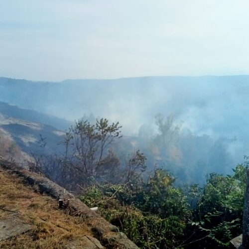 Vasto incendio boschivo a Pareto: fiamme sotto controllo