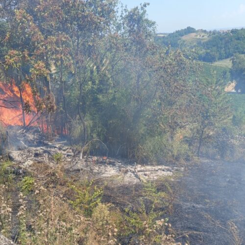 Incendio di sterpaglie a Sala Monferrato: l’intervento dei Vigili del Fuoco