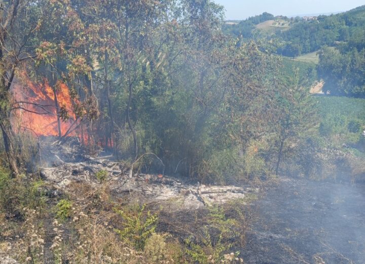 Incendio di sterpaglie a Sala Monferrato: l’intervento dei Vigili del Fuoco