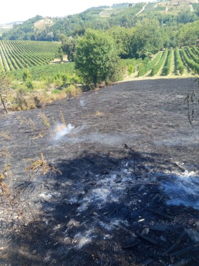 Incendio di sterpaglie a Sala Monferrato: l’intervento dei Vigili del Fuoco