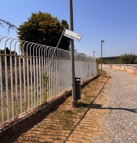 Degrado tra la passeggiata Sisto e Lungo Tanaro ad Alessandria: Fratelli d’Italia sollecita la giunta