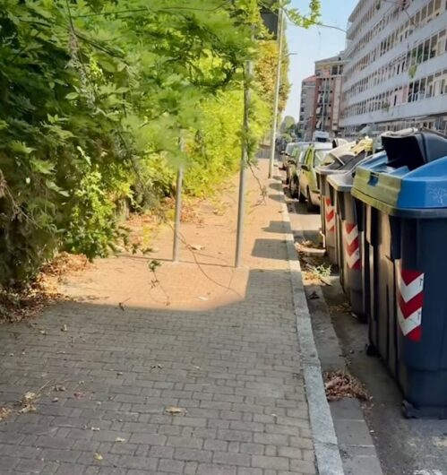 Degrado tra la passeggiata Sisto e Lungo Tanaro ad Alessandria: Fratelli d’Italia sollecita la giunta