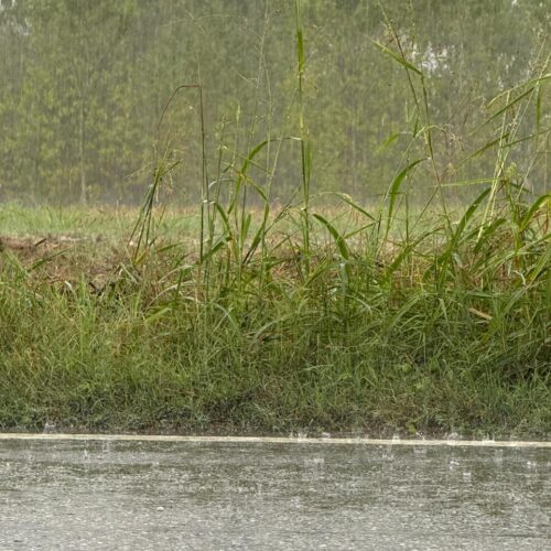 Maltempo: violenti temporali nel Monferrato