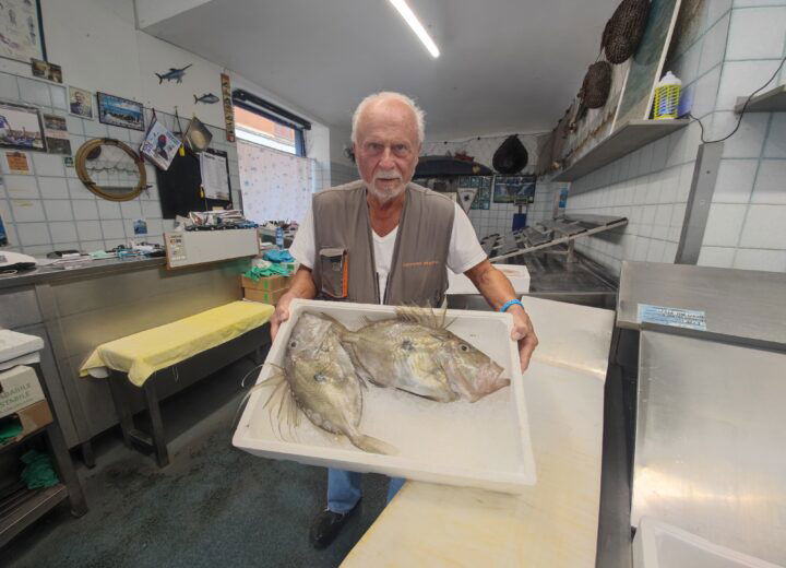 Il centro di Alessandria perde un altro simbolo: a fine 2025 la Pescheria Genovese chiuderà dopo 60 anni