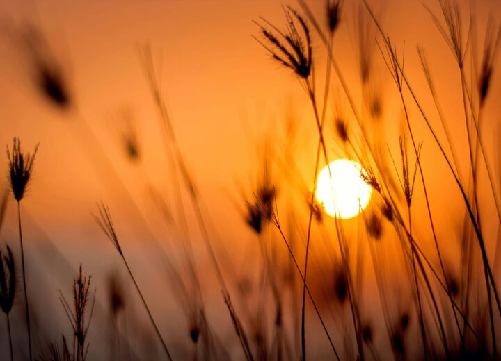 Caldo: in provincia le temperature caleranno ancora. 32 gradi da lunedì