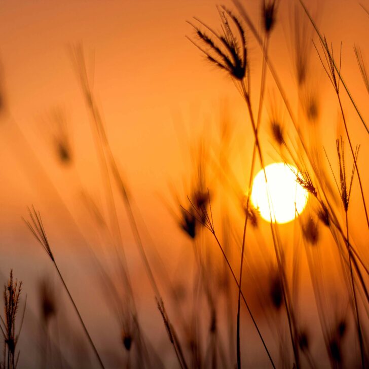 Caldo: in provincia le temperature caleranno ancora. 32 gradi da lunedì