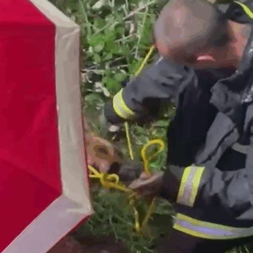 Maltempo: l’intervento gentile dei Vigili del Fuoco per recuperare un cane