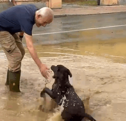 Il video della Protezione civile al lavoro a Spinetta per arginare acqua e fango
