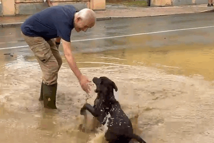 Il video della Protezione civile al lavoro a Spinetta per arginare acqua e fango