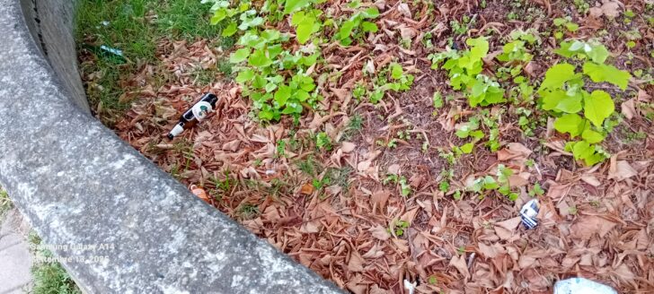 Giochi rotti e spazzatura. Da Spinetta a Valenza cittadini chiedono cura e rispetto per le aree verdi
